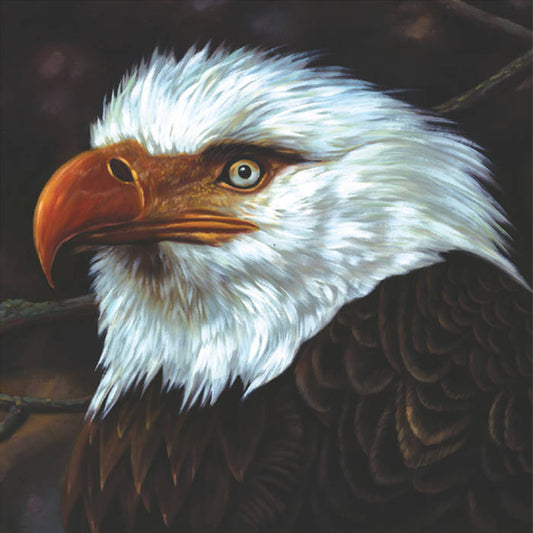 The Hawk Is Howling | Black Vinyl